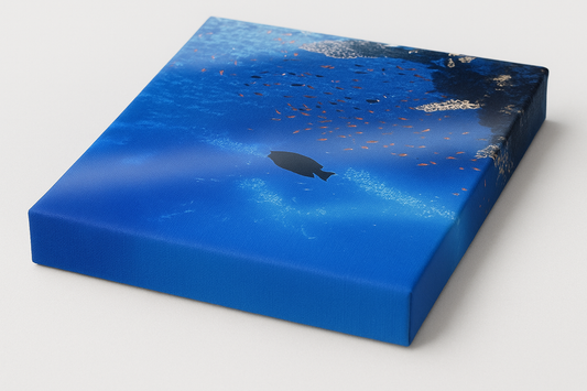 Ampliación con acabado CANVAS